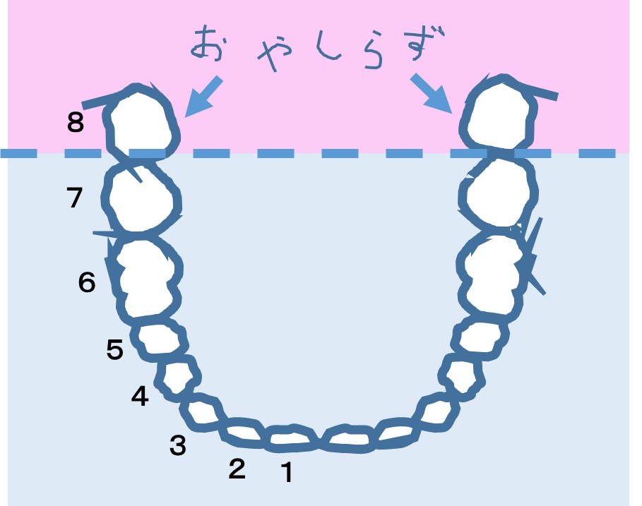 一般歯科